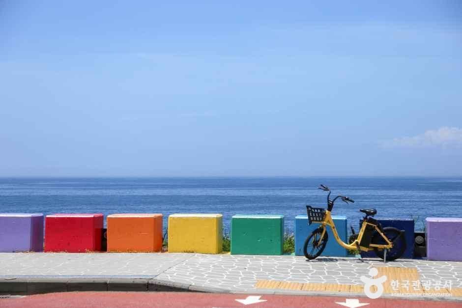 [제주] 제주 무지개해안도로