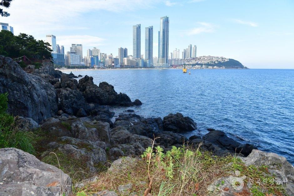 [부산] 해운대 동백섬