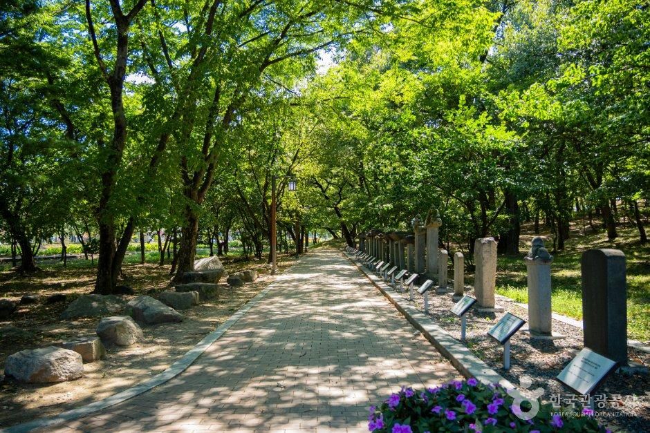 [경북] 자인계정숲(경산 자인의 계정숲)
