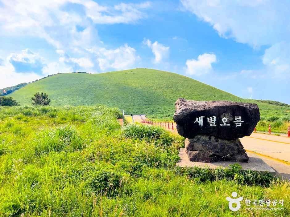 [제주] 새별오름