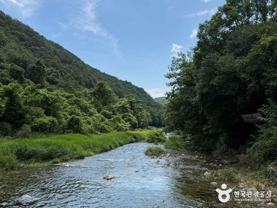 [강원] 어답산관광지