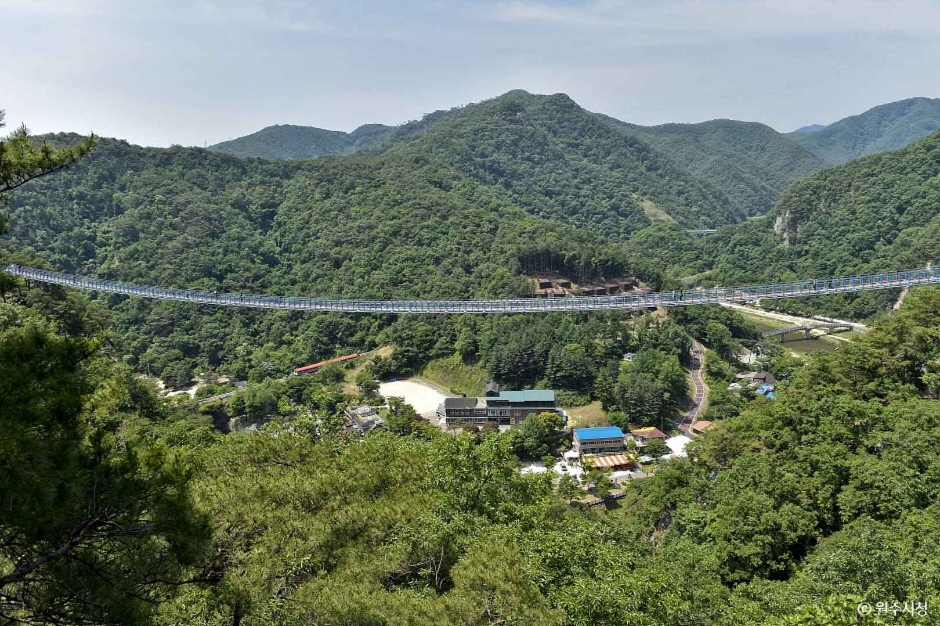 [강원] 소금산 스카이워크 브릿지(소금산 출렁다리)
