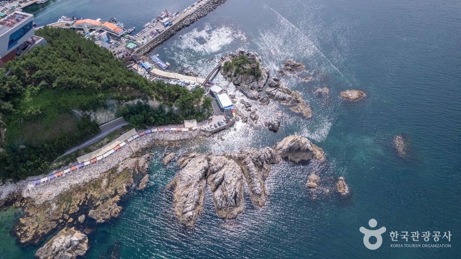[강원] 장호해변·장호항
