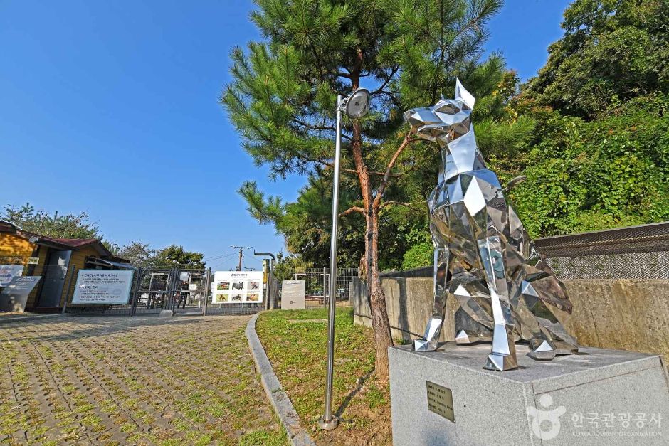 [경기] 광교호수공원 반려견 놀이터