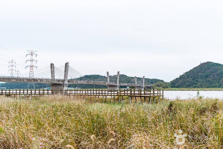[충남] 황토권역 당나루물꽃마을