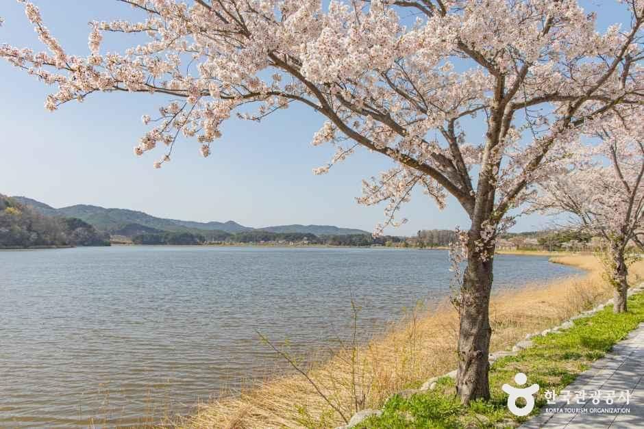 [강원] 화진포(강원평화지역 국가지질공원)