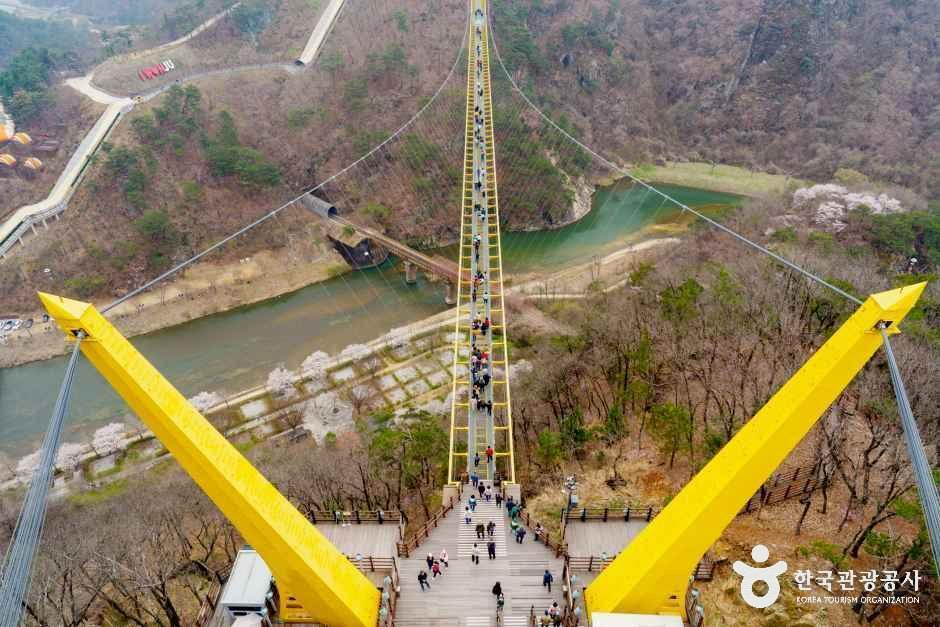 [강원] 소금산그랜드밸리