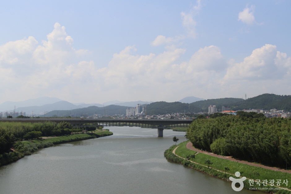 [울산] 태화강 국가정원