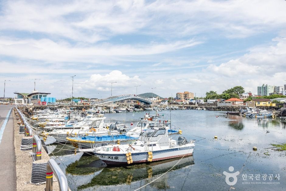 [제주] 화북포구