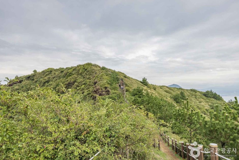 [제주] 송악산