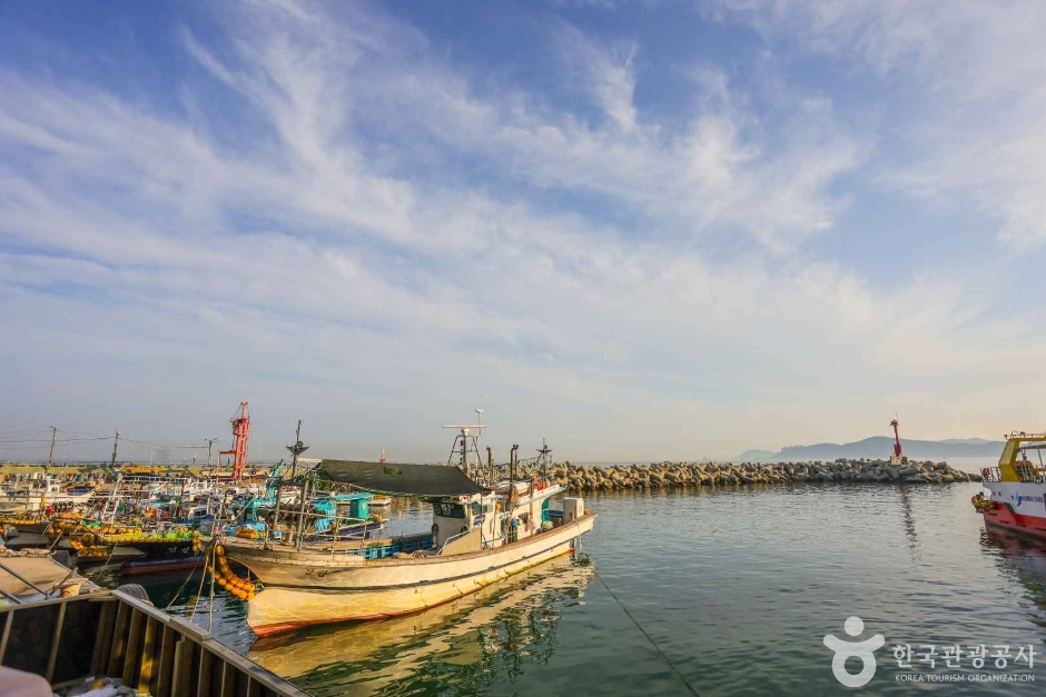 [부산] 미포항
