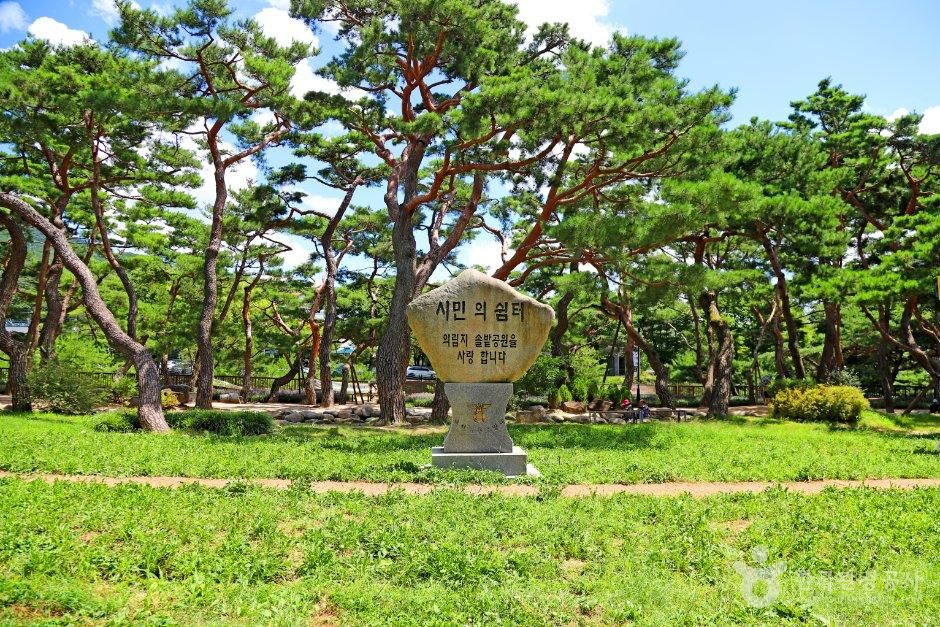 [충북] 의림지 솔밭공원