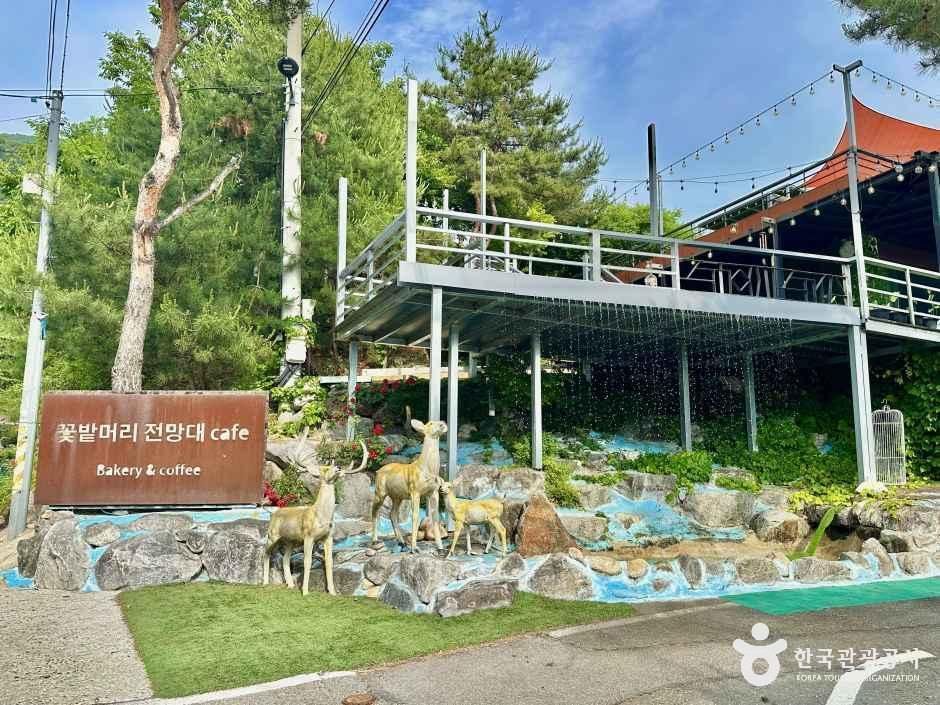 [강원] 꽃밭머리 전망대