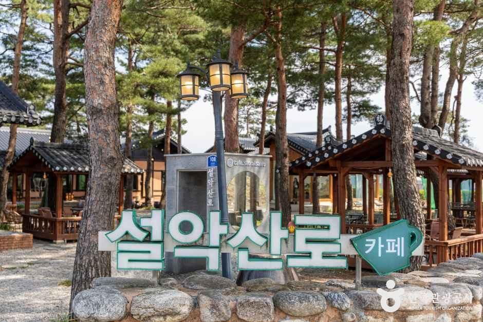 [강원] 카페 설악산로
