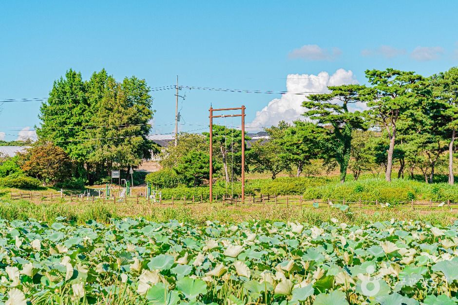 [전남광주통합특별시] 달맞이공원