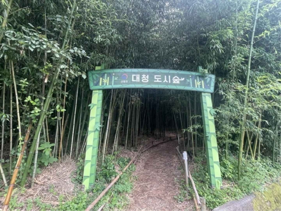 [경남] 대청계곡대나무숲
