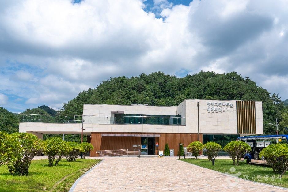 [경북] 영양 자작나무숲