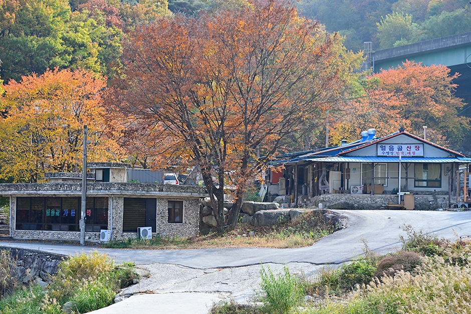 [경남] 얼음골가든