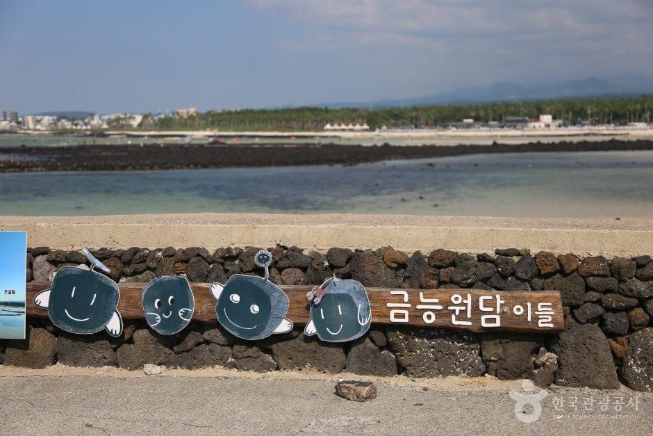 [제주] 금능돌담해변길