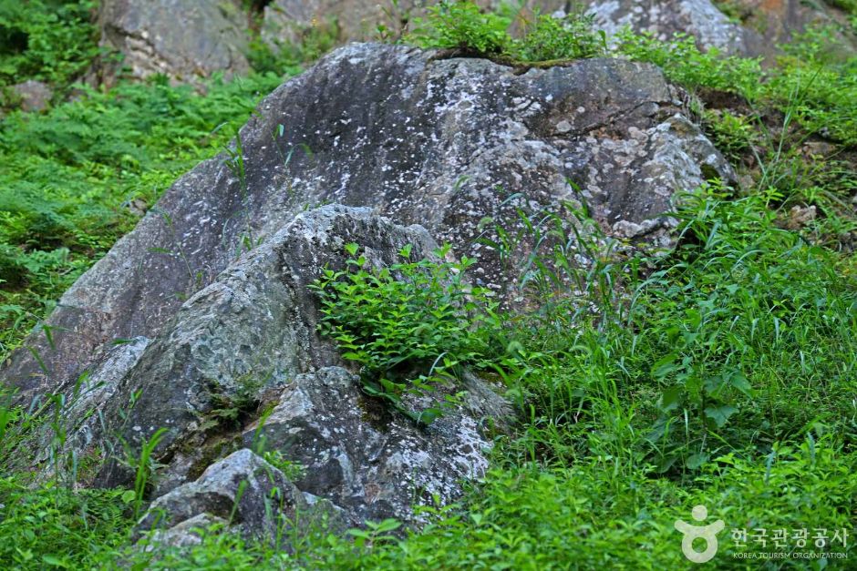 [전북] 오산리 구상화강편마암