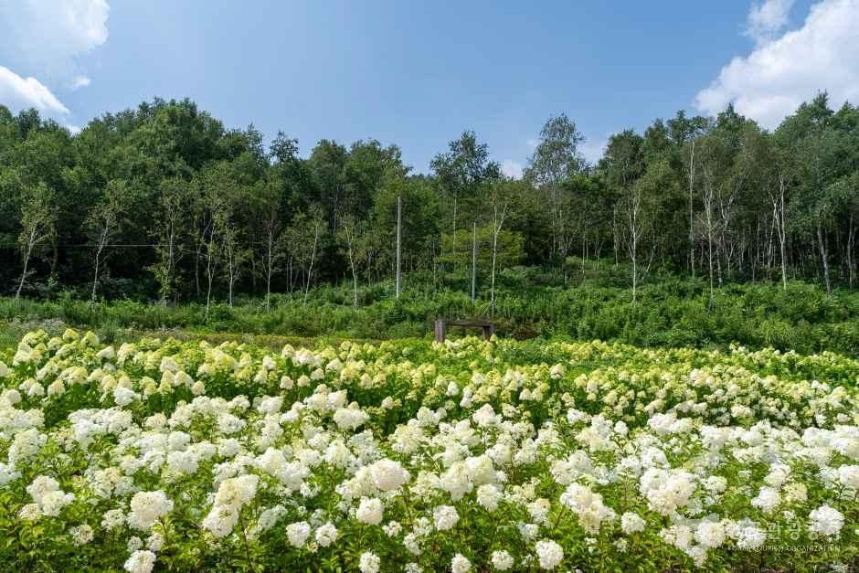 [전북] 뜬봉샘생태공원