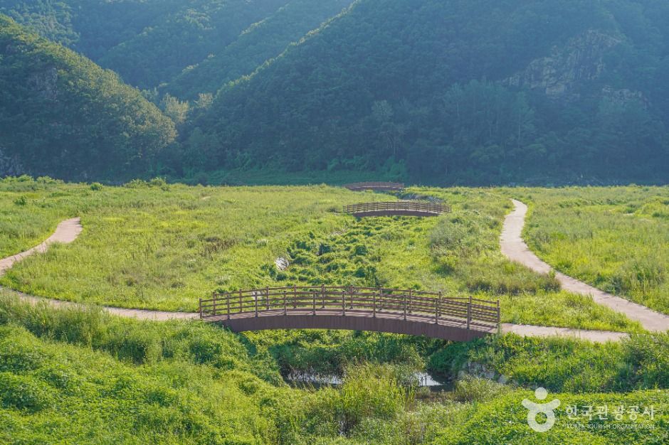 [전북] 내도리강변유원지