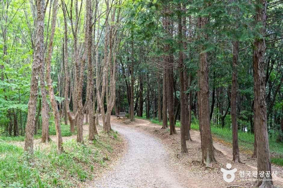 [전북] 건지산