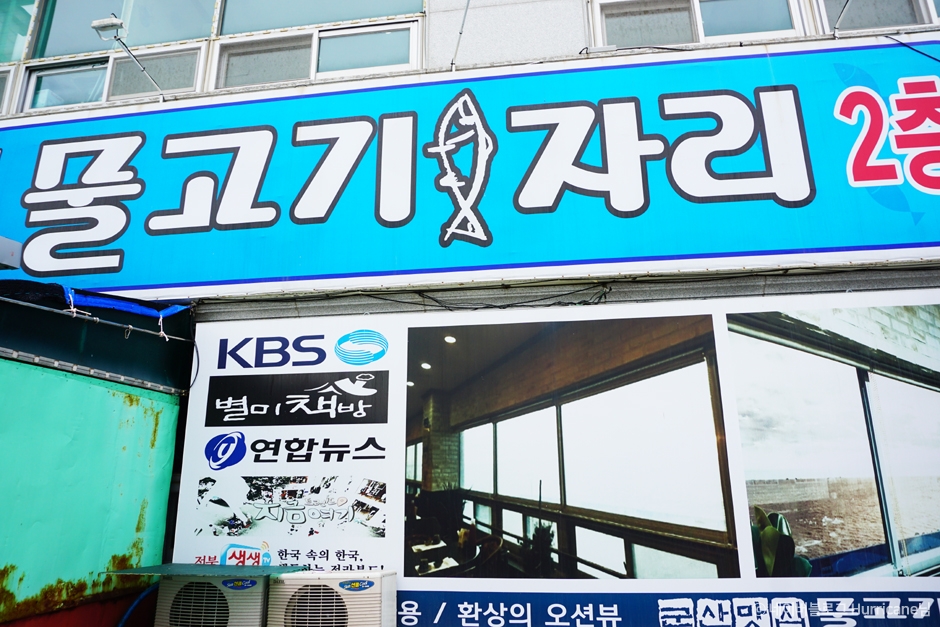 [전북] 물고기자리