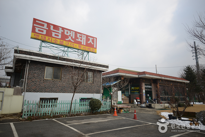 [경기] 금남멧돼지