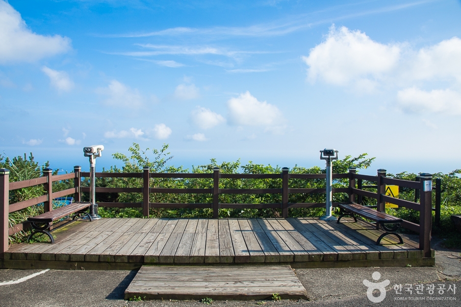 [제주] 거린사슴