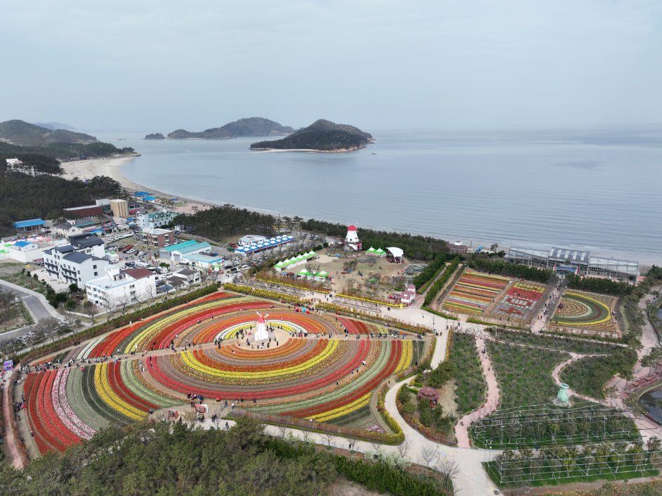 [전남광주통합특별시] 신안튤립공원
