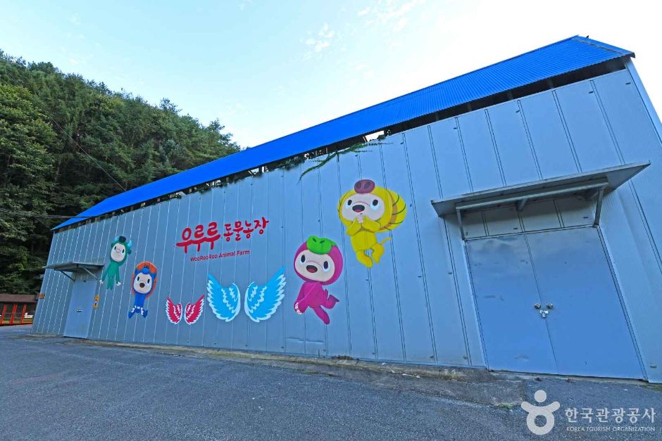 [강원] 청성애원 우루루동물농장