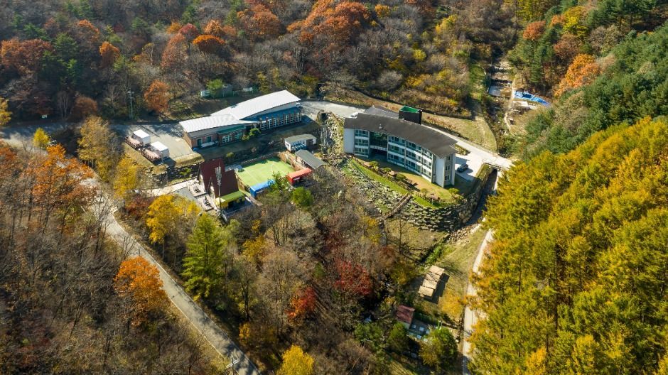 [강원] 평창자연휴양림