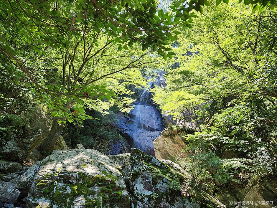[울산] 신불산군립공원