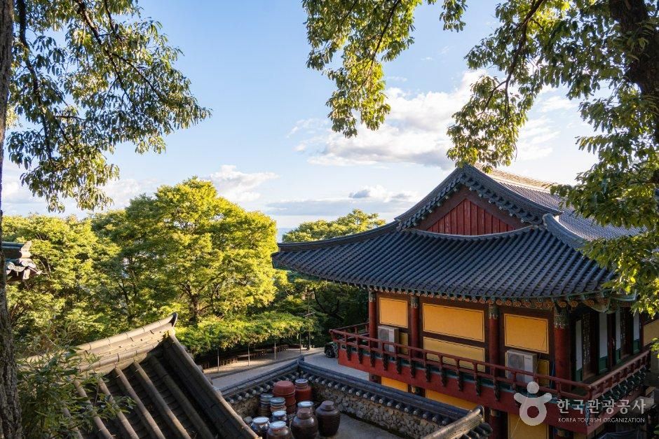[경북] 도리사(구미)