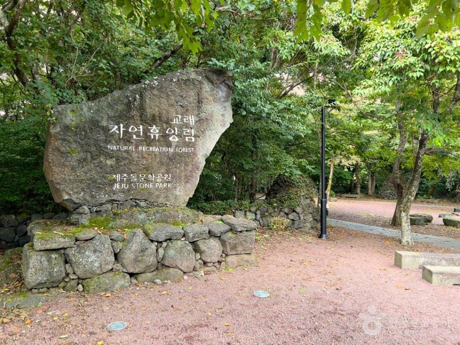 [제주] 제주 교래자연휴양림