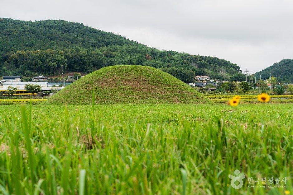 [전남광주통합특별시] 나주 복암리 고분군