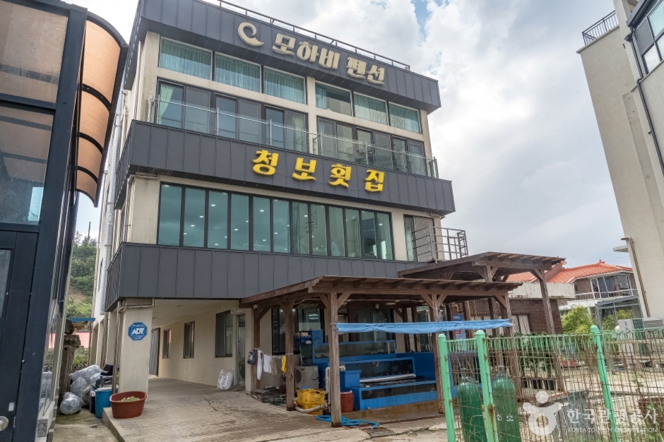 [강원] 청보횟집