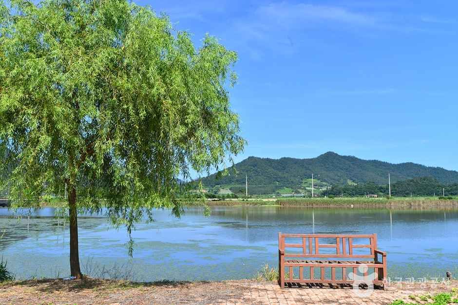 [전남광주통합특별시] 소앵무마을