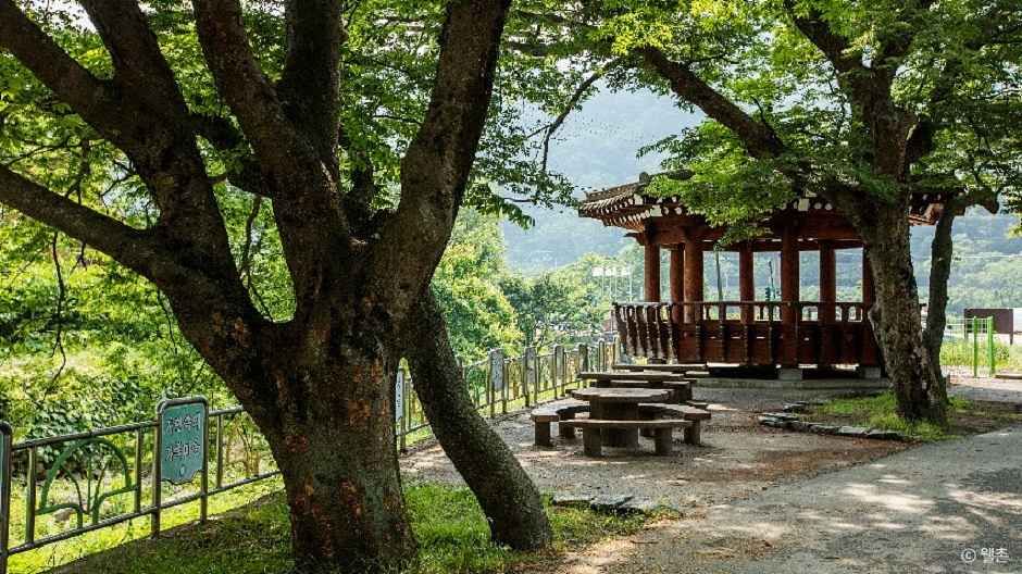 [전남광주통합특별시] 가정녹색농촌체험마을