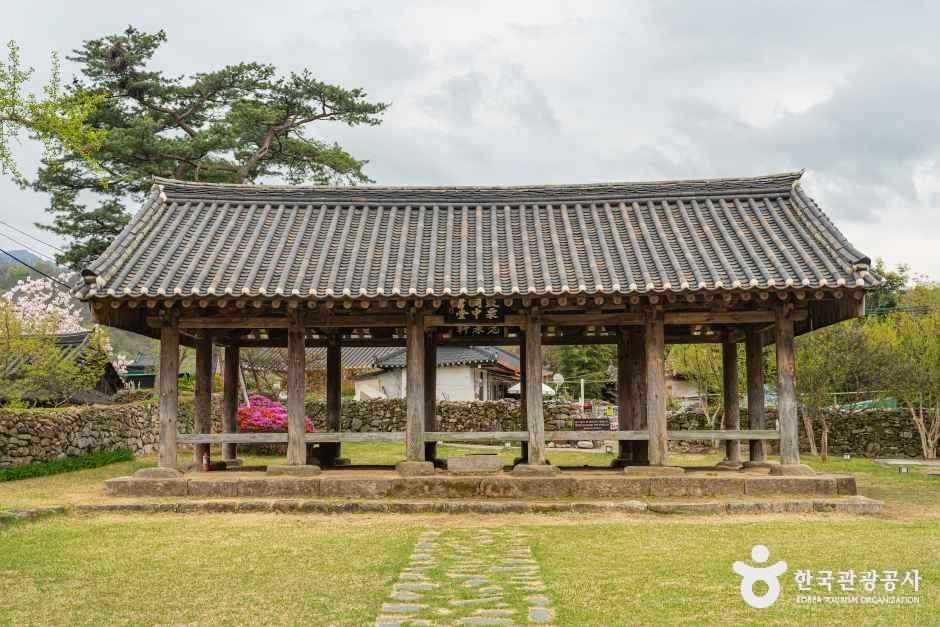 [대구] 군위대율리대청