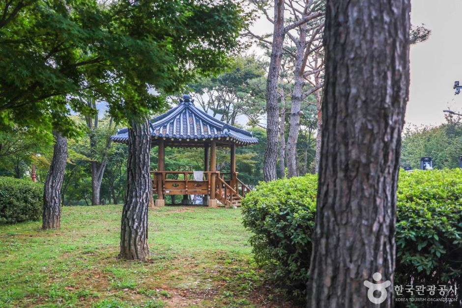 [경기] 솔밭공원(안성)