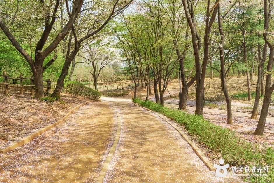 [경기] 성저공원