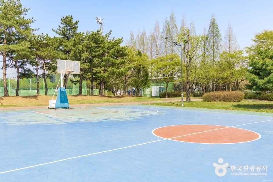 [경기] 대화동레포츠공원