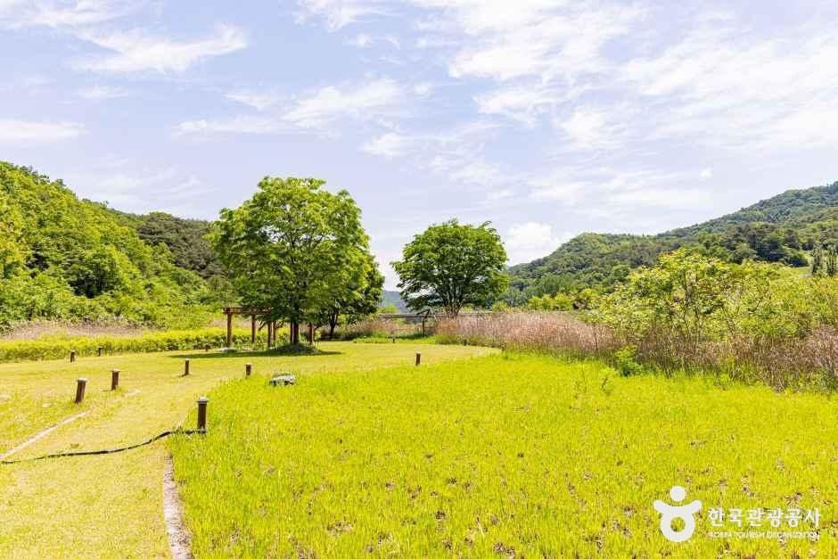 [충북] 옥순봉생태공원
