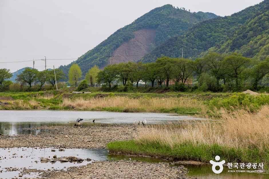 [충북] 청천수변공원