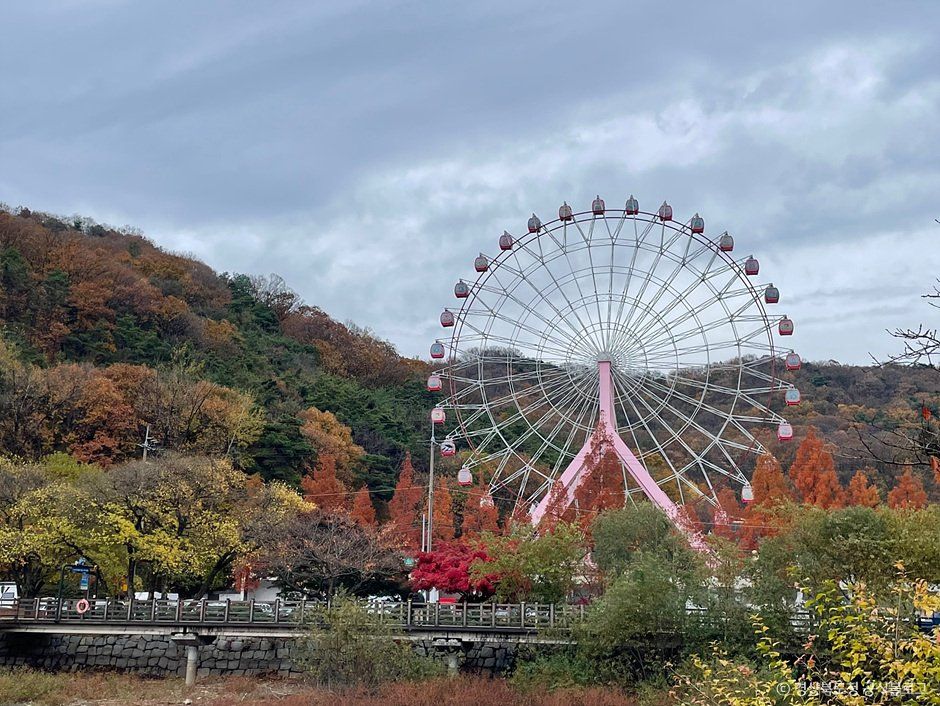 [경북] 금오랜드 놀이동산