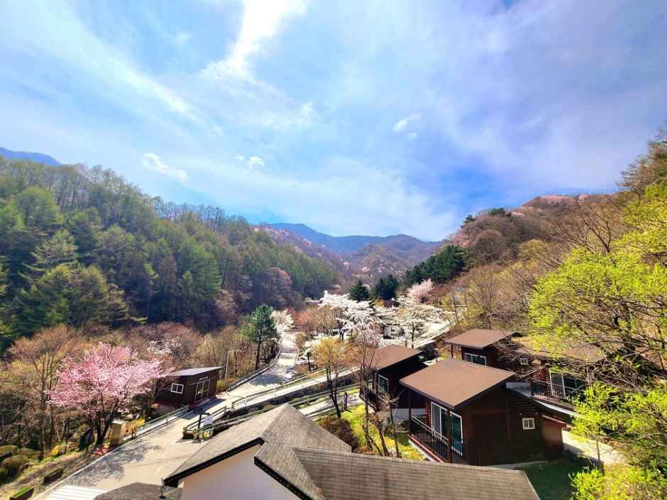 [경남] 국립지리산자연휴양림