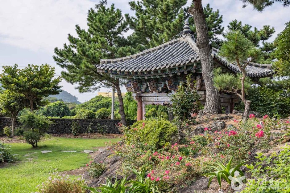 [제주] 금룡사(제주)