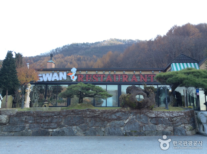 [충북] 스완
